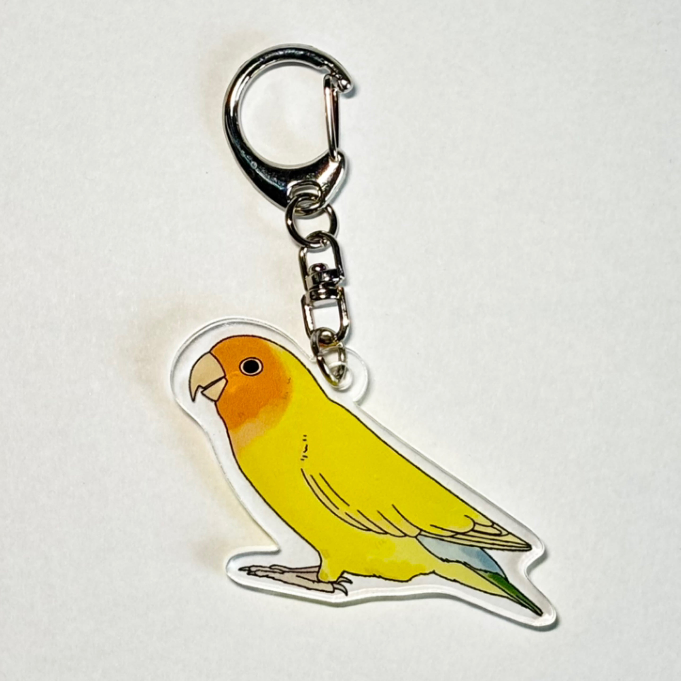 カート | ちゃちゃ丸Finch オンラインショップ